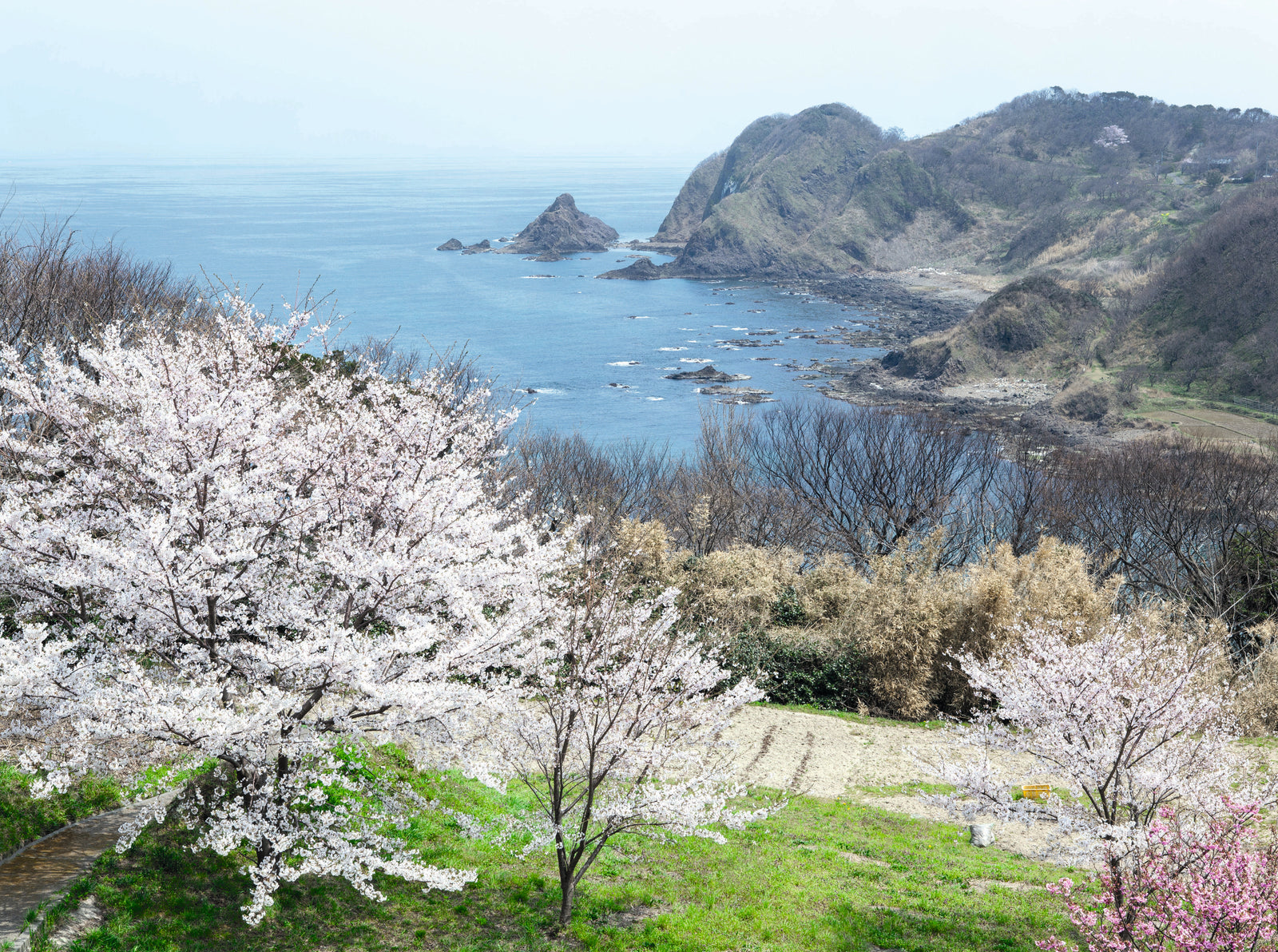 Landscape photography by Aya Brackett from Japan: The Vegetarian Cookbook