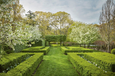 Anna Wintour’s elegant garden is just one of 300 creative outdoor spaces in The Contemporary Garden
