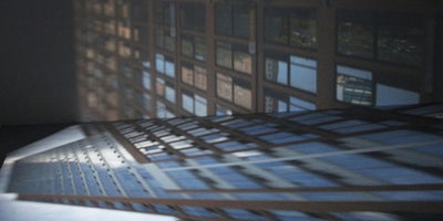 most spectacular artworks in the Whitney Biennial colorful contemporary art display