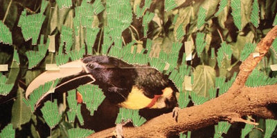 Nada New York 2014 art fair picks exhibition artwork display colorful gallery interior