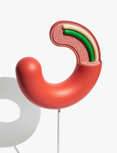 Anatomical sausage model: Bangers and mash, 2014-2017. The Sausage of the Future. Photo by Younes Klouch