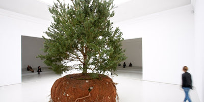 Venice Biennale 2015 international pavilions aerial view colorful exhibition outdoor art event