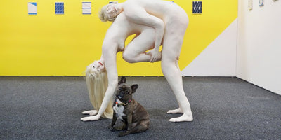 pickles picks logo with a red background and white text