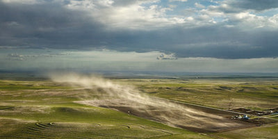 Andrew Moore Dirt Meridian artwork 900x450 image