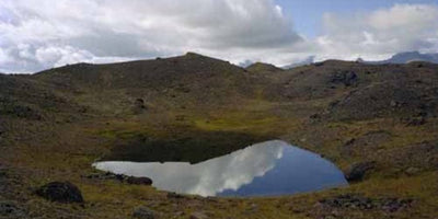 investment pieces october 2015 collage of luxury watches and jewelry on white background