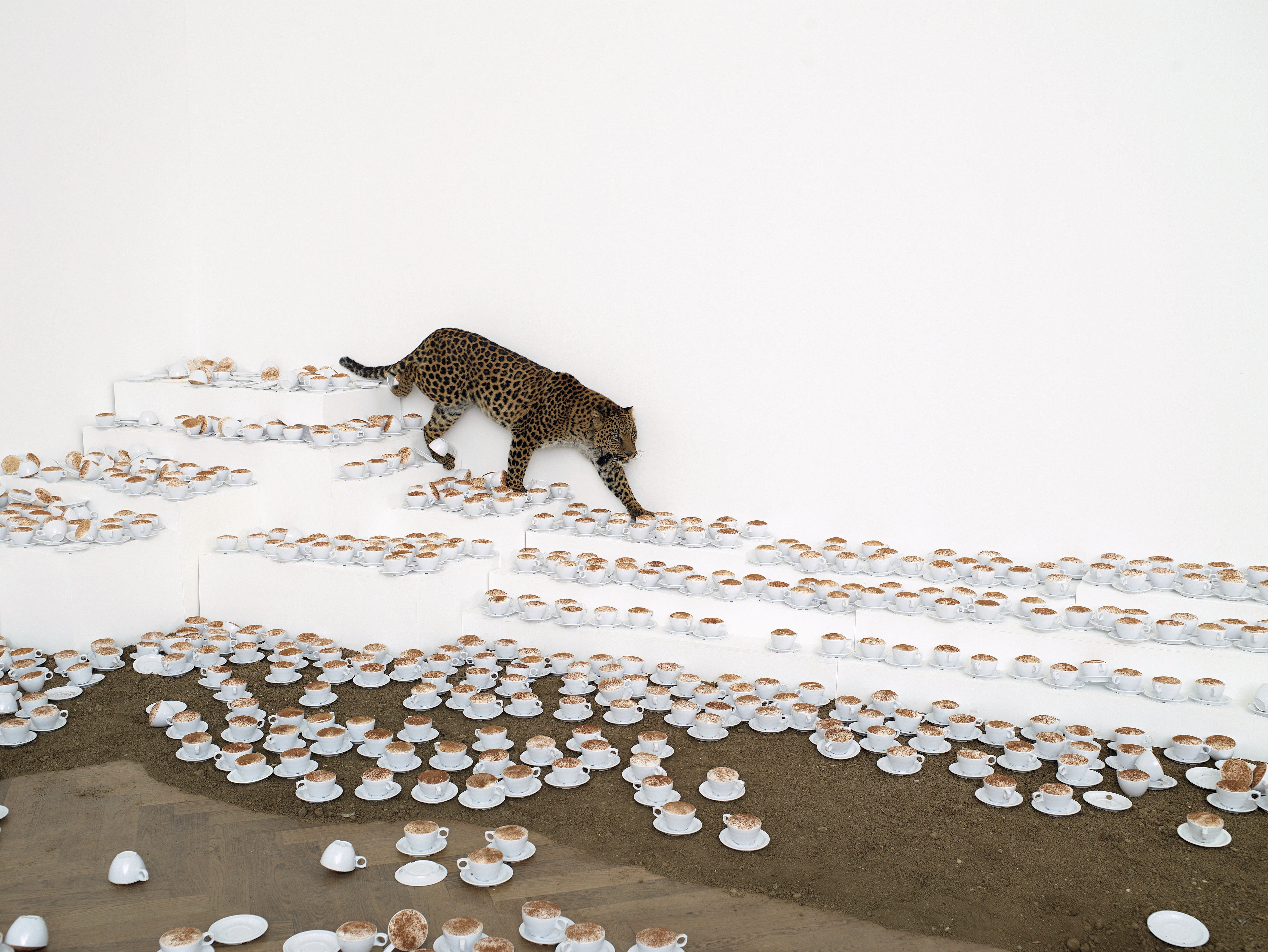 Did anyone see where Paola Pivi's leopard went? – Phaidon