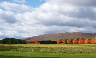 Phaidon Art Place Storm King and Opus 40 outdoor sculpture exhibition image 900x450