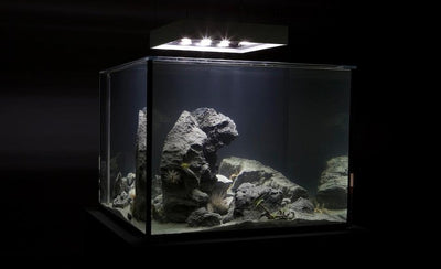 what is ooo out of office concept with calendar and clock icons on blue background