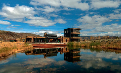 phaidon selldorf architects building exterior modern design large windows