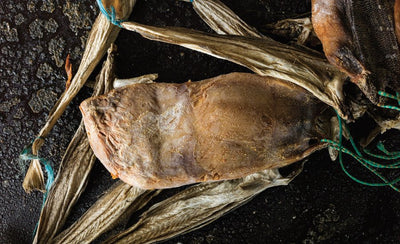 Phaidon Nordic Picks book cover featuring minimalist design with abstract shapes and muted colors