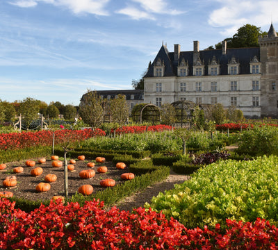 Experience these 5 great gardens from The Kitchen Garden