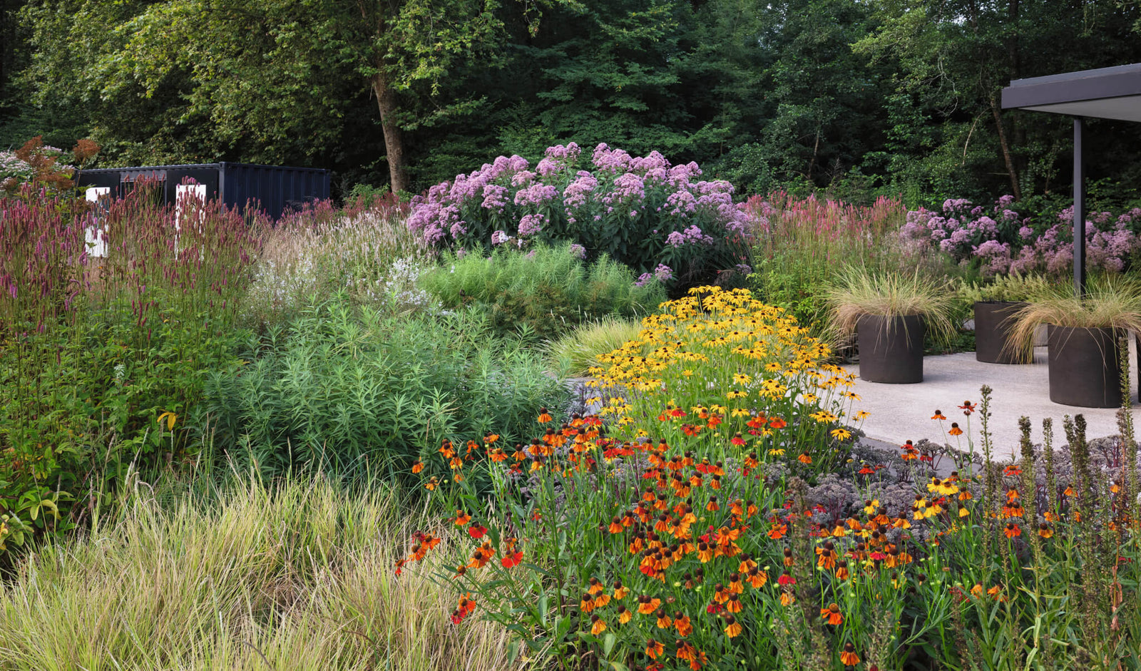 vibrant garden landscape featuring a variety of colorful flowers including purple, yellow, and orange blooms alongside lush green foliage and modern planters