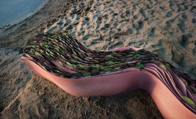 phaidon daniel ost picks book cover art design colorful abstract shapes