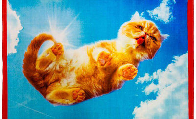 group show cats artwork displayed at artspace exhibition colorful cat paintings on wall