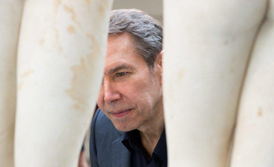 Interview with Jeff Koons discussing the inspiration behind his artwork displayed in a 900x450 image