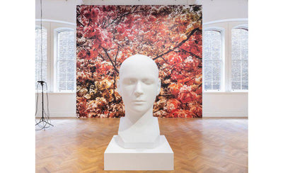 Trevor Paglen Bloom artwork reflecting themes of death and mourning with abstract imagery