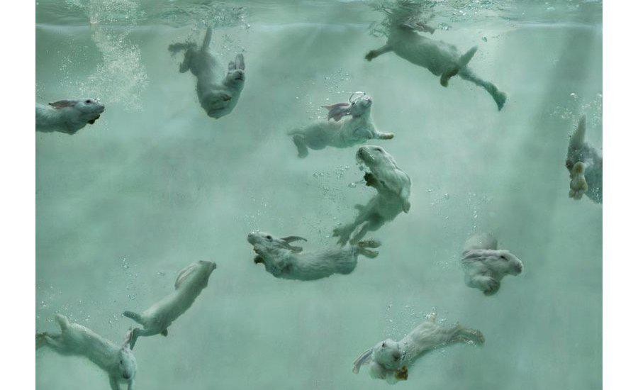 The Artspace Group Show Water artwork featuring abstract blue and white water-themed design