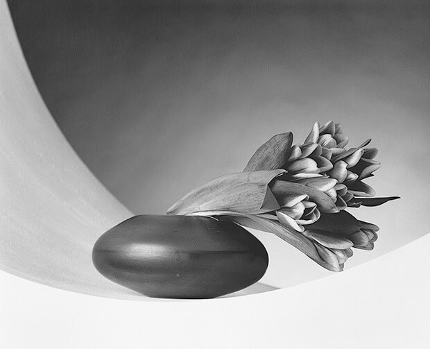 The photograph Robert Mapplethorpe sent to his friends shortly