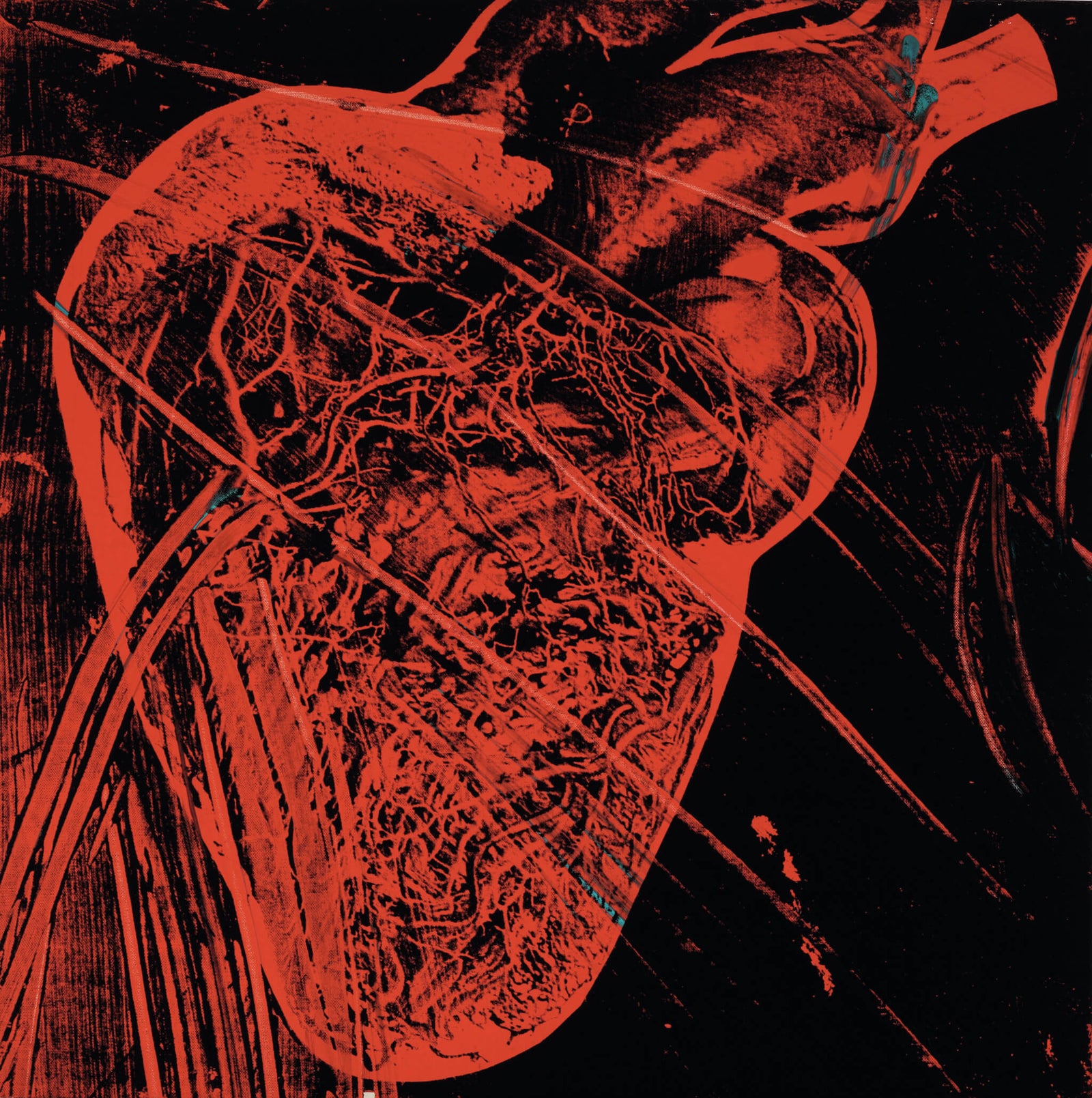 artistic depiction of a realistic human heart in red tones against a black background showcasing intricate blood vessels and anatomical details