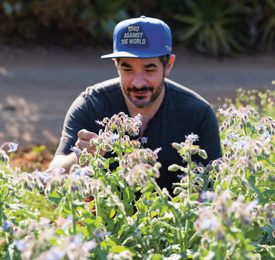 fox squared off logo or design element on white background