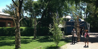 Watch This Space Venice Biennale art installation colorful abstract sculpture exhibition