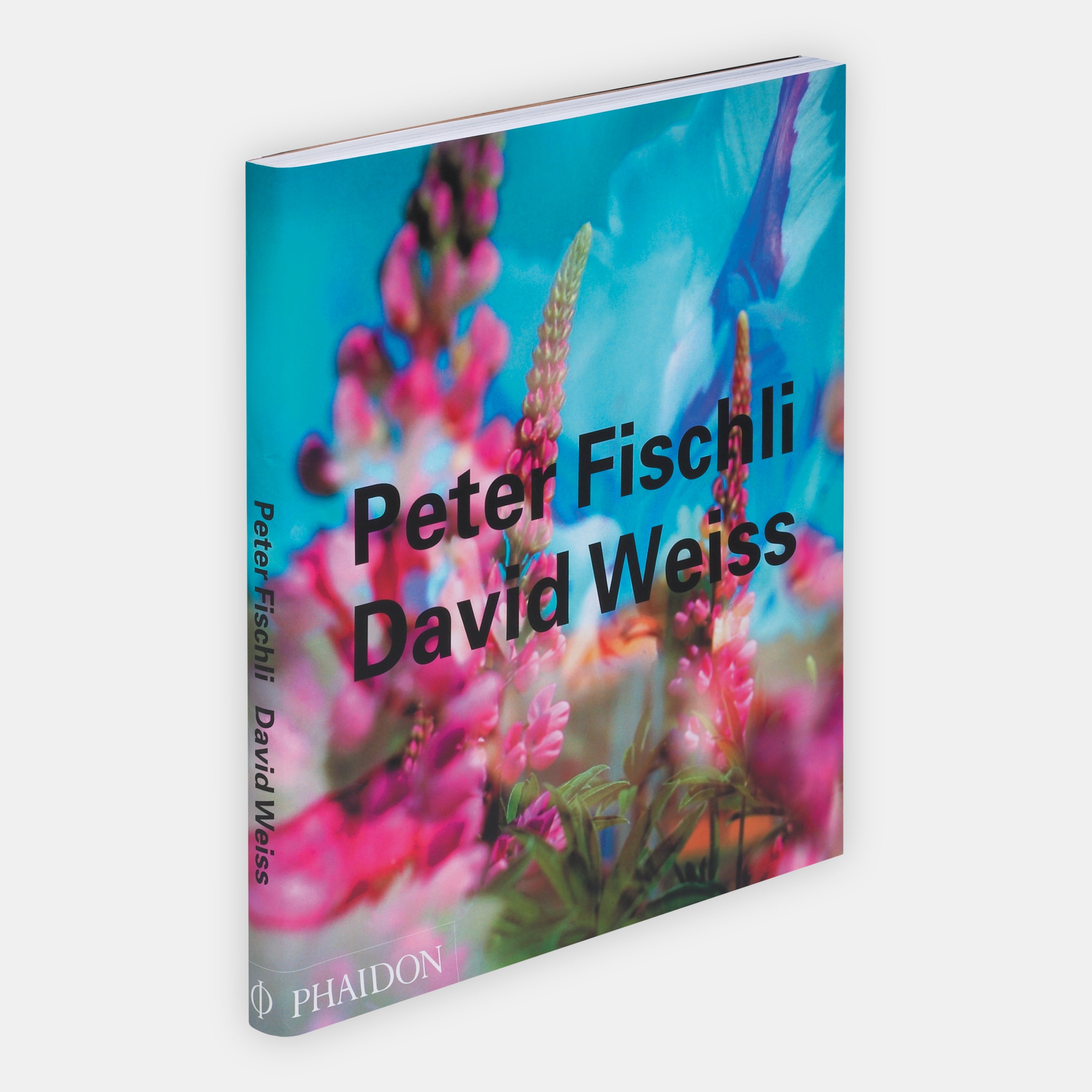 Peter Fischli, David Weiss | Standard Edition | 9780714843230