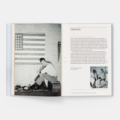 Jasper Johns: Phaidon Focus