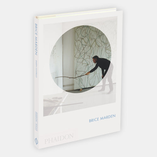Brice Marden: Phaidon Focus