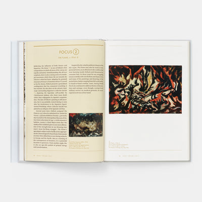 Jackson Pollock: Phaidon Focus