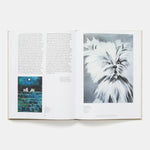 Painting Beyond Pollock