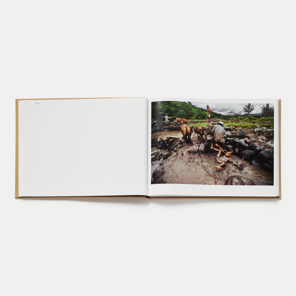 From These Hands: A Journey Along the Coffee Trail