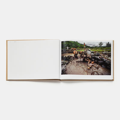 From These Hands: A Journey Along the Coffee Trail