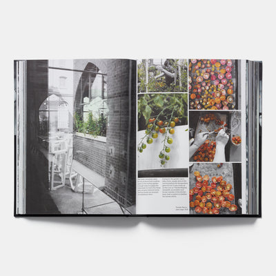 Studio Olafur Eliasson: The Kitchen