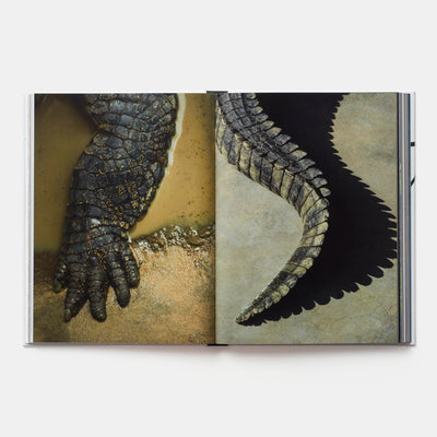 Evolution: A Visual Record