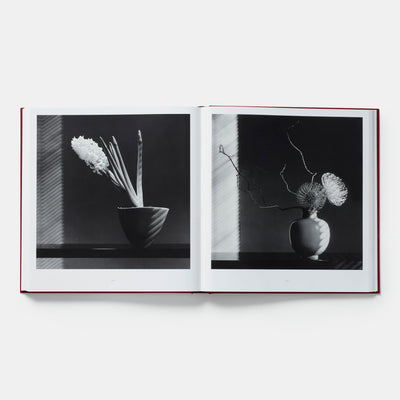 Mapplethorpe Flora