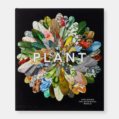 Plant: Exploring the Botanical World