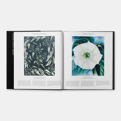 Plant: Exploring the Botanical World