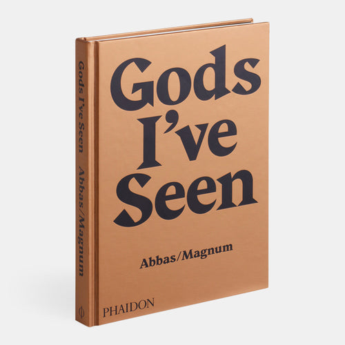 Gods I've Seen: Travels Among Hindus