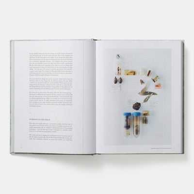 On Eating Insects: Essays, Stories and Recipes