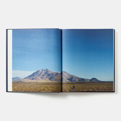 Borago: Coming from the South