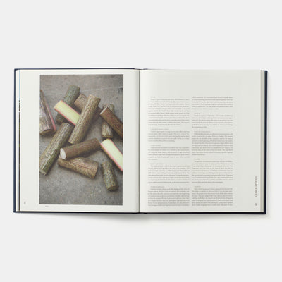 Borago: Coming from the South