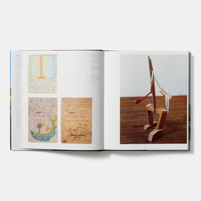 Jimmie Durham: Contemporary Artists series