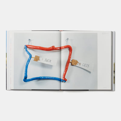 Jimmie Durham: Contemporary Artists series