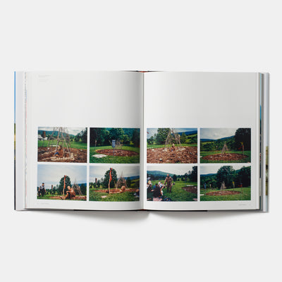 Jimmie Durham: Contemporary Artists series