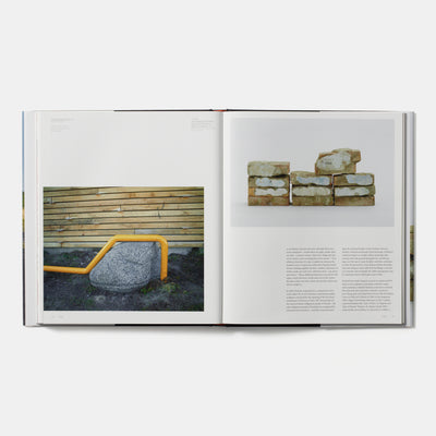 Jimmie Durham: Contemporary Artists series