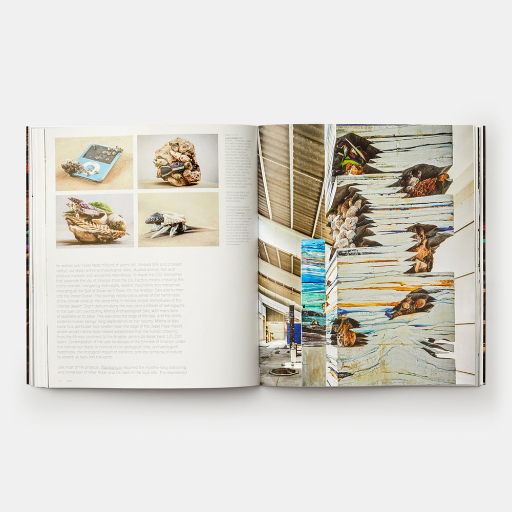 Adrián Villar Rojas