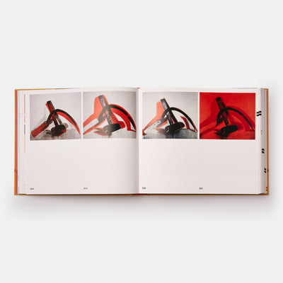 The Andy Warhol Catalogue Raisonné: Paintings 1976-1978 (Volume 5)