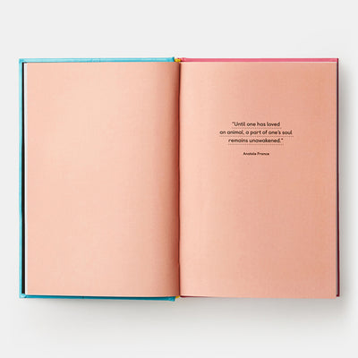 Pet-tecture: Design for Pets