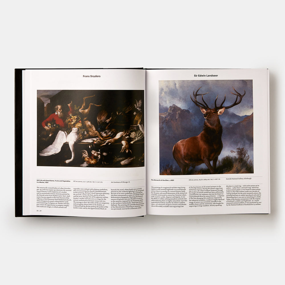 Animal: Exploring the Zoological World