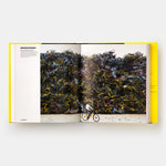 Shaping Cities in an Urban Age